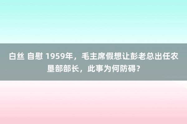 白丝 自慰 1959年，毛主席假想让彭老总出任农垦部部长，此事为何防碍？