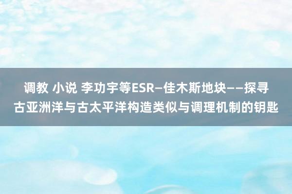 调教 小说 李功宇等ESR—佳木斯地块——探寻古亚洲洋与古太平洋构造类似与调理机制的钥匙