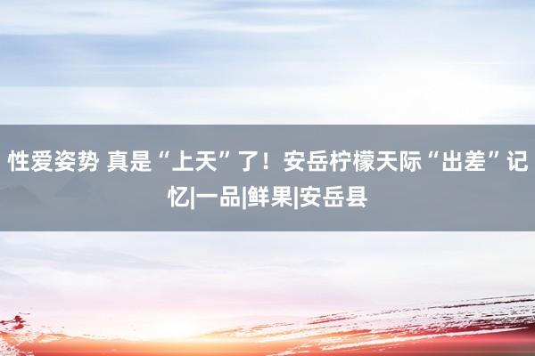 性爱姿势 真是“上天”了！安岳柠檬天际“出差”记忆|一品|鲜果|安岳县