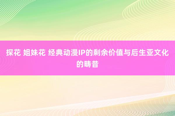 探花 姐妹花 经典动漫IP的剩余价值与后生亚文化的畴昔