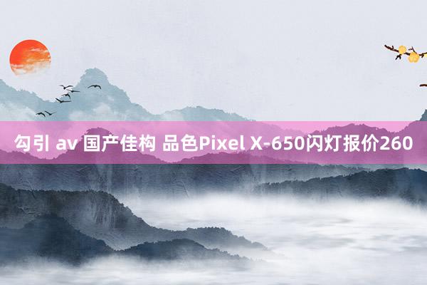 勾引 av 国产佳构 品色Pixel X-650闪灯报价260