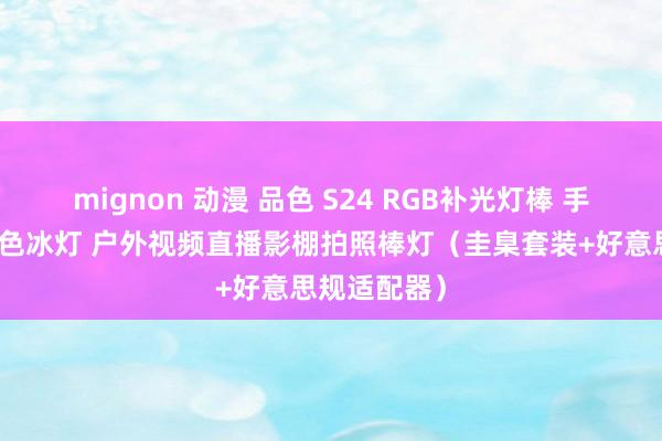 mignon 动漫 品色 S24 RGB补光灯棒 手合手便携彩色冰灯 户外视频直播影棚拍照棒灯（圭臬套装+好意思规适配器）