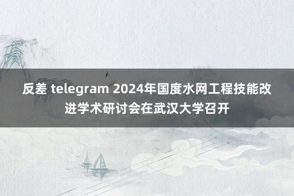 反差 telegram 2024年国度水网工程技能改进学术研讨会在武汉大学召开