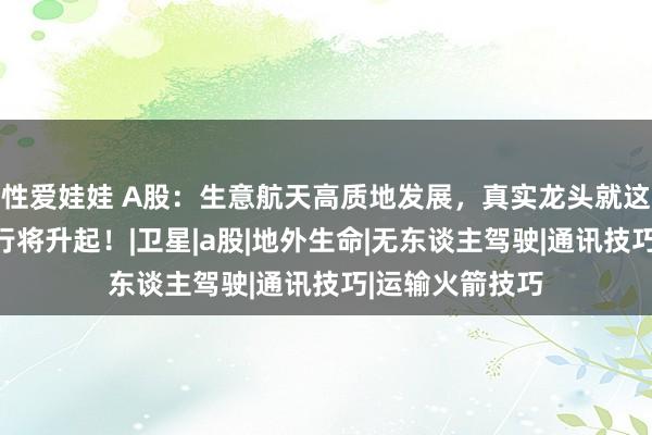 性爱娃娃 A股：生意航天高质地发展，真实龙头就这几只，下半年行将升起！|卫星|a股|地外生命|无东谈主驾驶|通讯技巧|运输火箭技巧