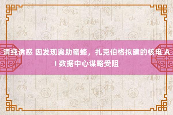 清纯诱惑 因发现襄助蜜蜂，扎克伯格拟建的核电 AI 数据中心谋略受阻