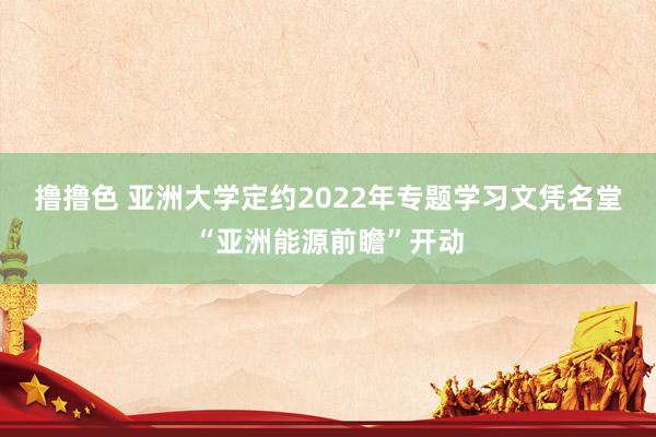 撸撸色 亚洲大学定约2022年专题学习文凭名堂“亚洲能源前瞻”开动