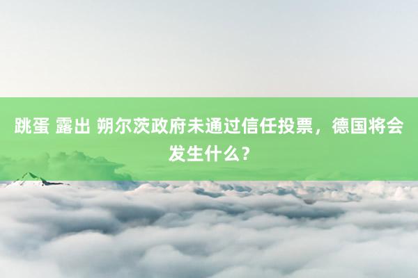 跳蛋 露出 朔尔茨政府未通过信任投票，德国将会发生什么？